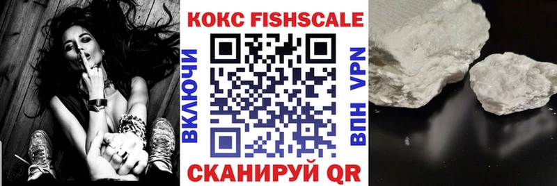 shop официальный сайт  Петрозаводск  Кокаин Fish Scale  ссылка на мегу как войти 