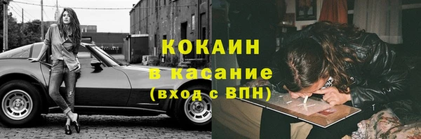 шишки Аркадак