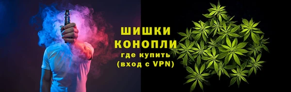 шишки Аркадак