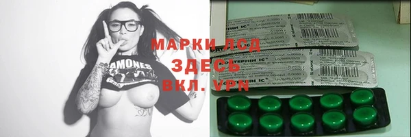 шишки Аркадак