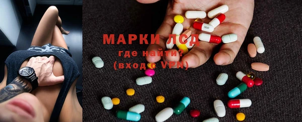 шишки Аркадак