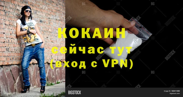 шишки Аркадак