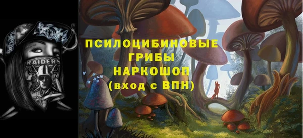 шишки Аркадак