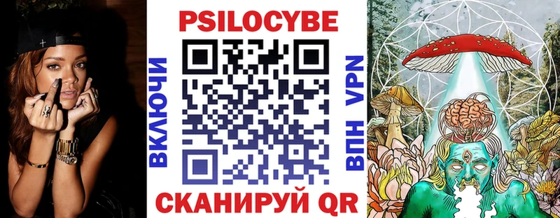 kraken сайт  Петрозаводск  Псилоцибиновые грибы Psilocybe 